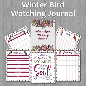 Winter Bird Watching Journal